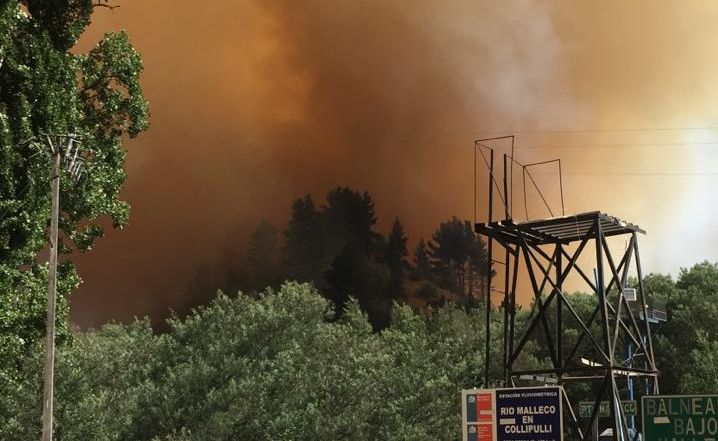 La Araucanía: Ordenan evacuar sector Las Toscas por incendio forestal en Collipulli