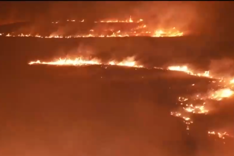 Hombre es detenido por su presunta participación en incendio forestal de Isla de Pascua