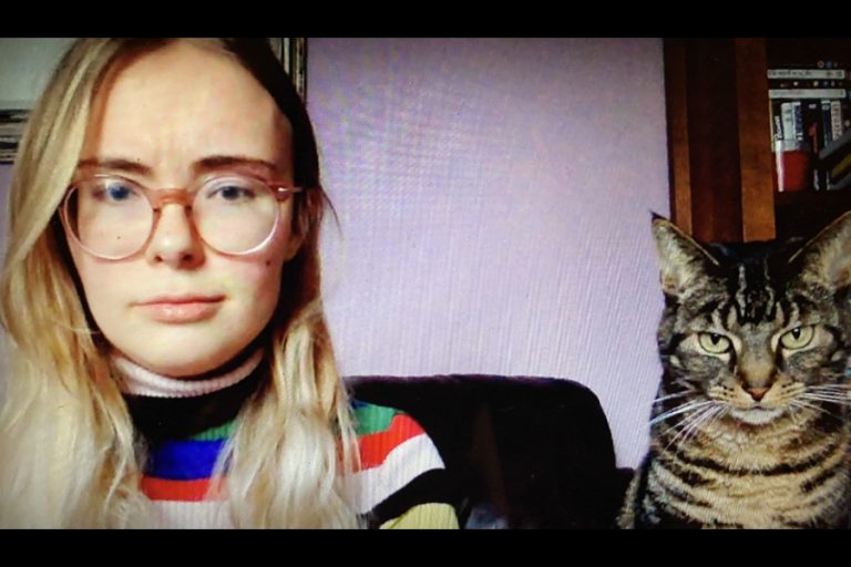 Las llamadas de Zoom son su obsesión: Gatita es viral por su inquietante mirada a la cámara