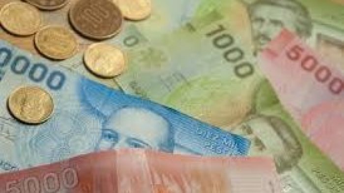 ¿Será correcto subir las cotizaciones en un 16% o un 20%? Parlamentarios debaten la posible medida