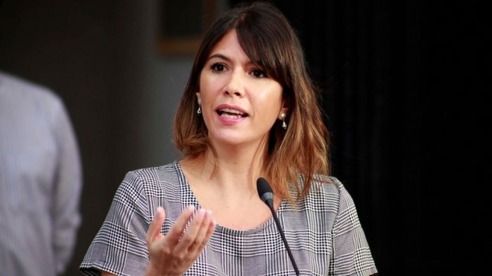 “Multas de hasta 50 millones por cada uno”: Subsecretaria Martorell ante fiesta clandestina en Cachagua