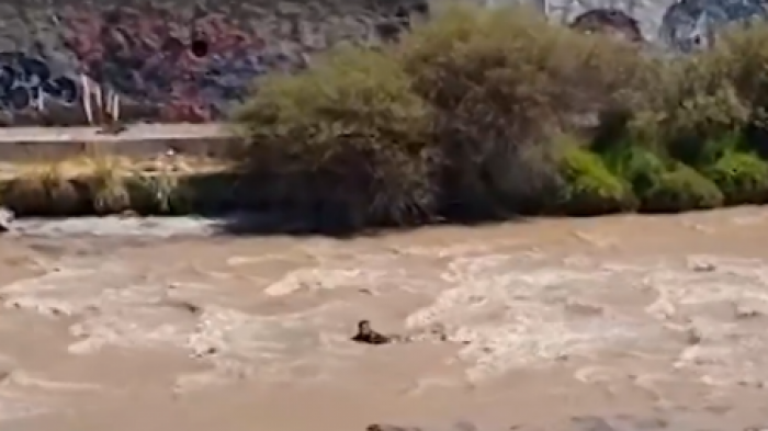 Sujeto se lanzó al río Mapocho para evitar detención por 