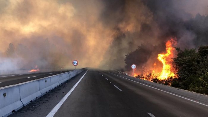 Conaf confirmó que incendio de Lago Peñuelas fue provocado intencionalmente