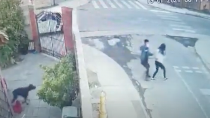 Funcionaria de la PDI frustró asalto en su contra: Se defendió a tiros e hirió a delincuente