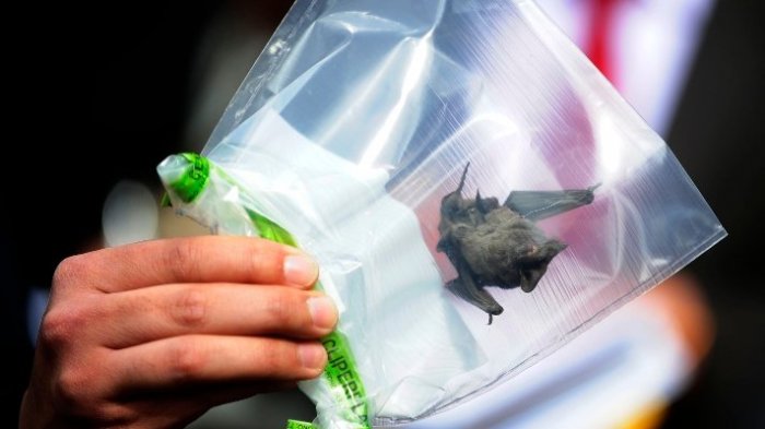 Contigo En Directo | Capítulo 140