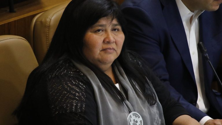 Diputada Nuyado citará al ministro del Interior y al director general de la PDI a la Comisión de Derechos Humanos