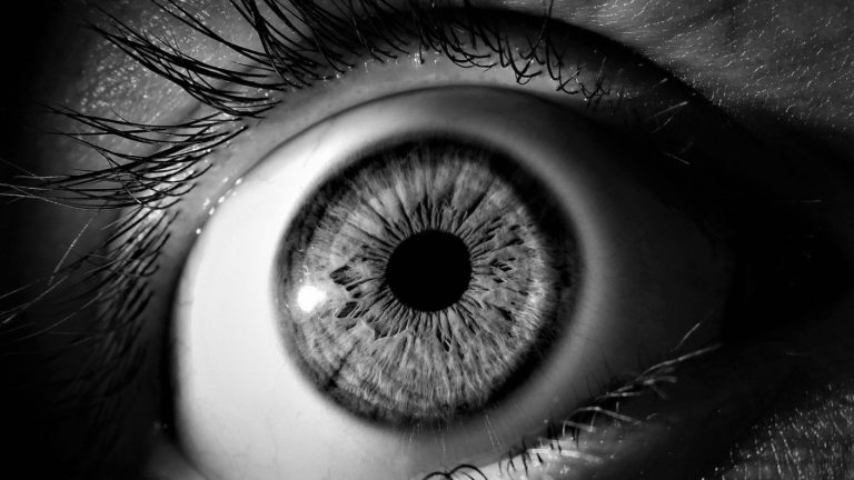 Curioso pero efectivo: Células madre de la retina de cadáveres podría restaurar la visión en personas ciegas