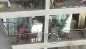 Maltrato animal en Santiago Centro: Pareja golpeaba a su perro y al ser denunciados huyeron con él