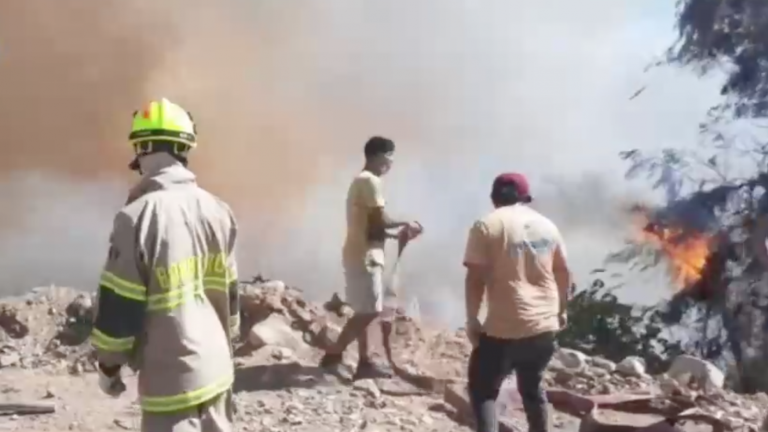 Alerta roja en Monte Patria por incendio forestal que se propaga hacia bencinera