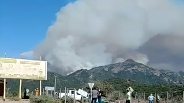 Onemi activa mensajería SAE por incendio forestal en San Fernando y solicita evacuar sector poblado
