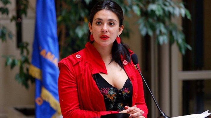 “La política de persecución al pueblo mapuche ha fracasado”: El análisis de Karol Cariola ante el conflicto en La Araucanía