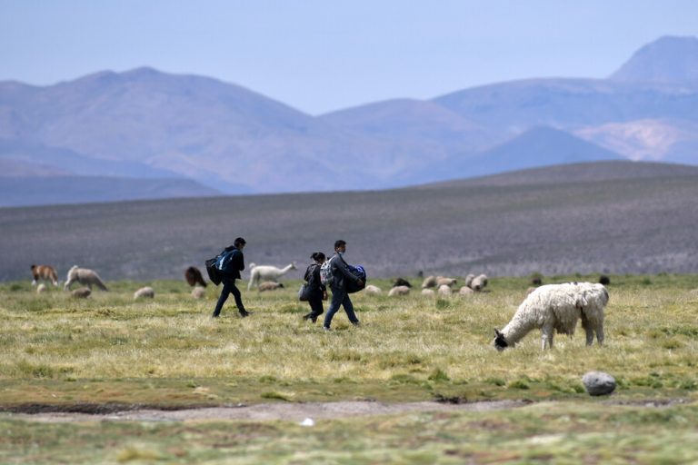 ONG presentó recurso por detención y órdenes de expulsión de migrantes venezolanos