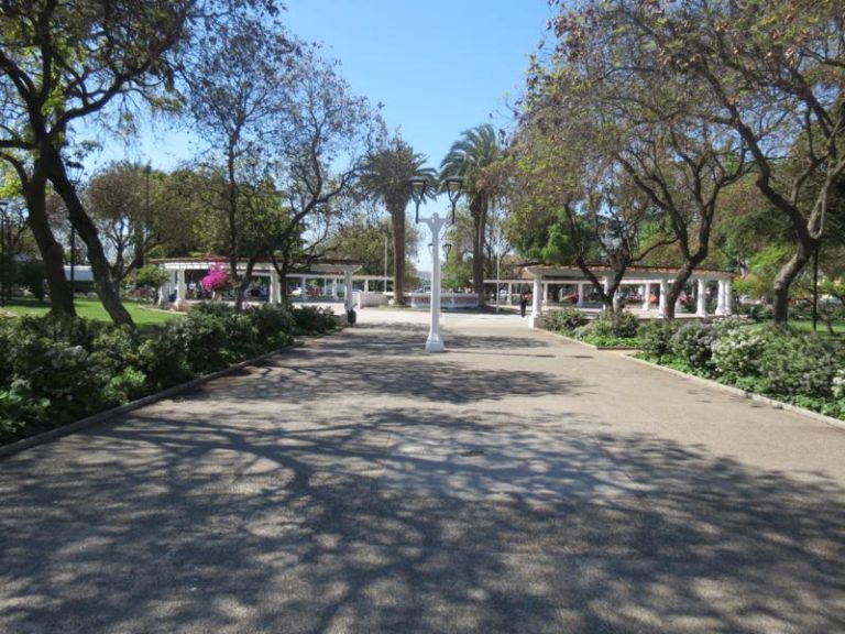 Todas las candidaturas a la Convención Constitucional que van por el distrito 14