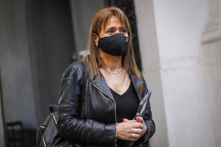 A Van Rysselberghe le propusieron representar a Ñuble en el Senado: 