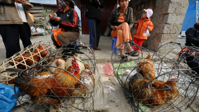 Identifican el primer caso de gripe aviar H5N8 en humanos