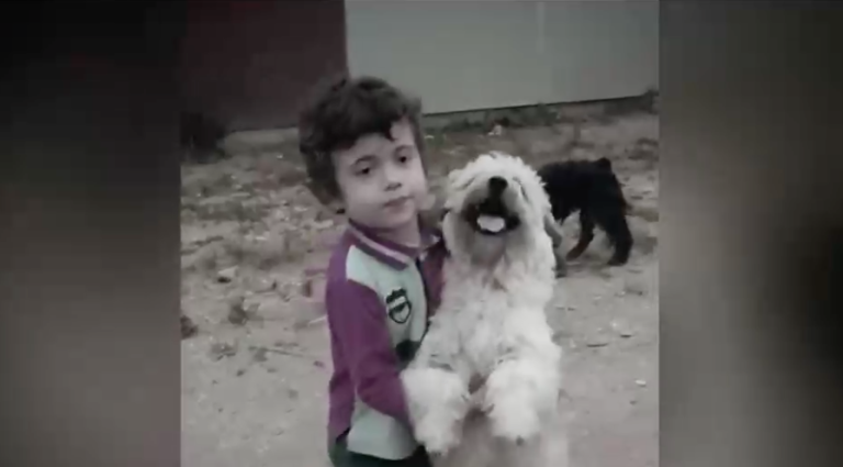 Retiraron una caseta y cámaras de seguridad con información clave días después de la desaparición de Tomás