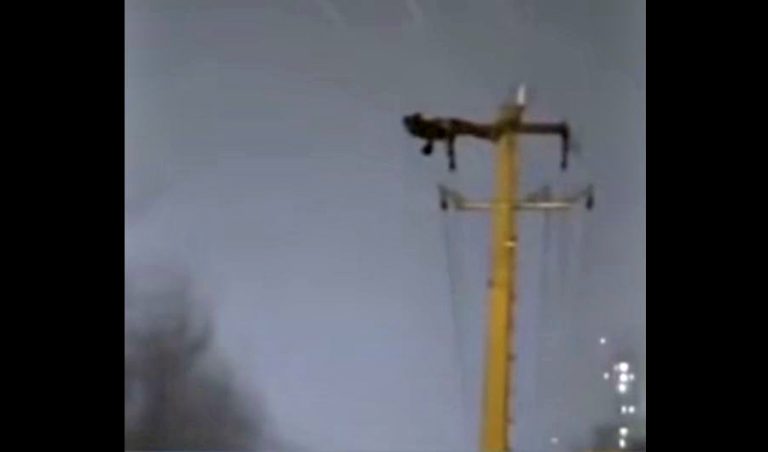 Hombre provocó apagón tras hacer ejercicios en un poste eléctrico a 10 metros de altura