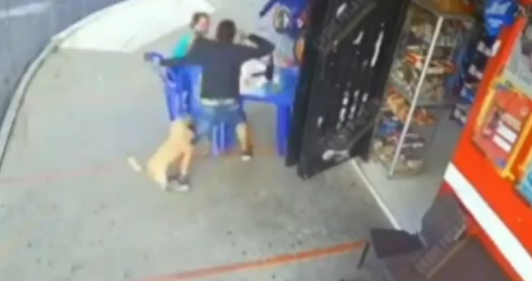 Chester, el orgullo del barrio: Se lanzó contra un delincuente para defender a su dueña en pleno asalto