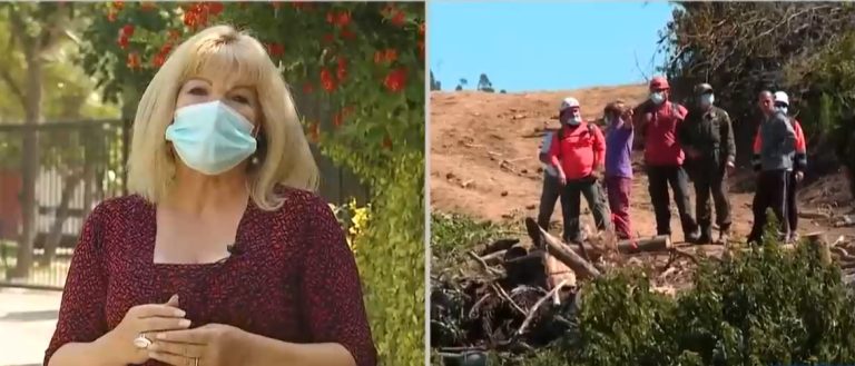 Ex oficial de la PDI compara el perfil del tío abuelo de Tomás con los casos de Fernanda Maciel y profesor Nibaldo