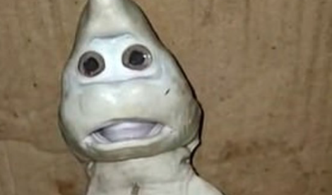 Descubren a un extraño tiburón con cara de humano: Lo comparan con 