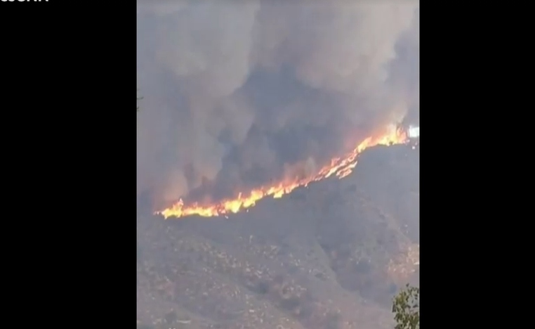 Declaran alerta roja por incendio forestal en Curacaví