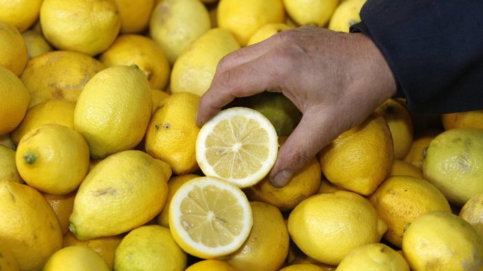 Su precio subió un 55%: ¡Sepa dónde encontrar los limones más baratos!