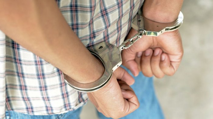 Proyecto buscar endurecer las penas para adultos que inciten a robar a menores de edad