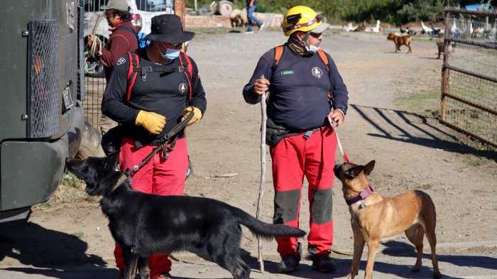 Encuentran huella de puma cerca del lugar donde desapareció Tomás Bravo