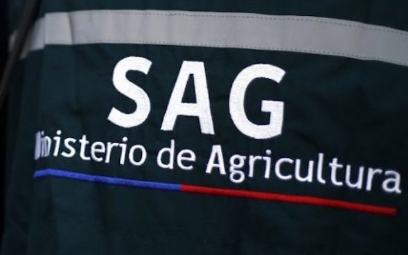 Caso Tomás Bravo: SAG confirmó que no existen ataques animales a humanos en el sector