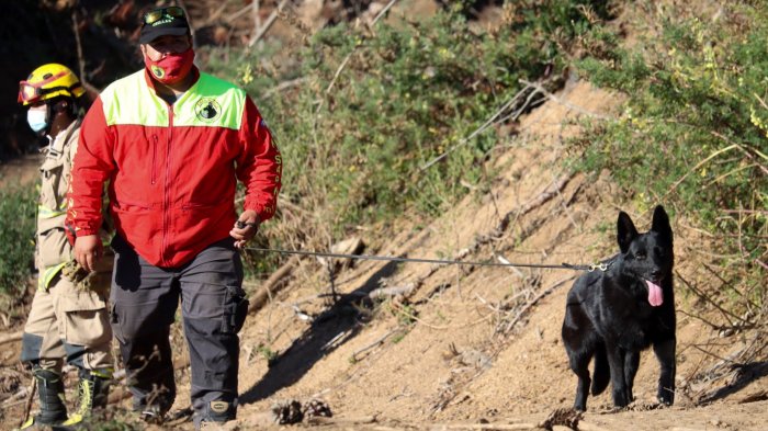 ¿Secuestro o accidente? Policías investigan 4 teorías sobre la desaparición de Tomás Bravo