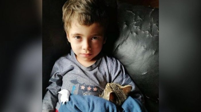 ¿Qué busca la policía en los teléfonos de los padres y el tío abuelo de Tomás Bravo?