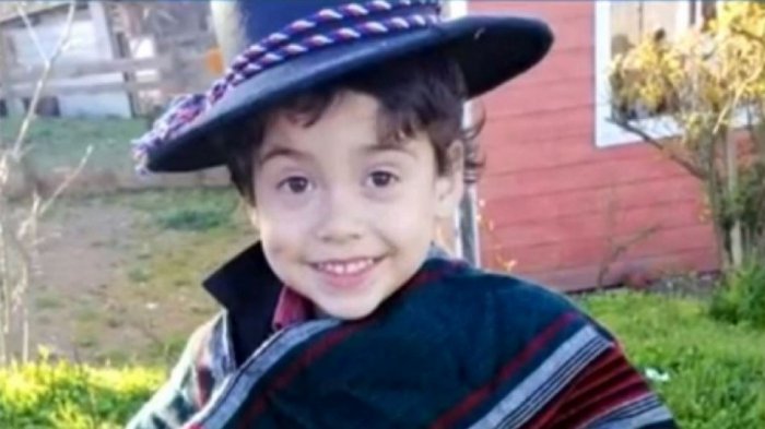 Caso Tomás Bravo: Vidente dijo que un cóndor tomó al niño por los hombros y lo elevó hacia un pino