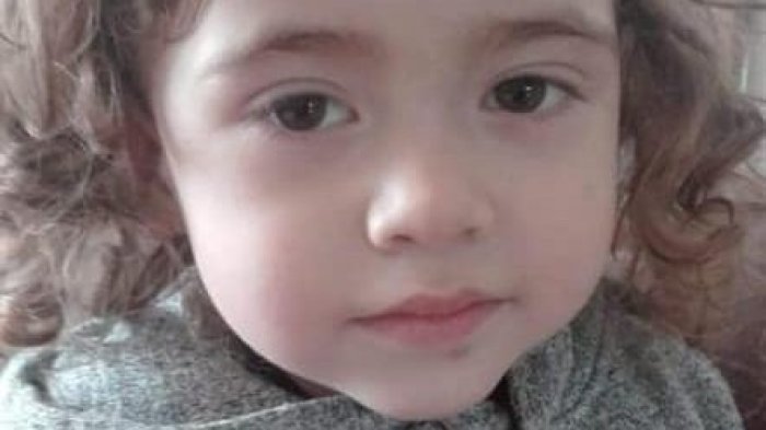 Carlos Pinto sobre caso de Tomás Bravo: 