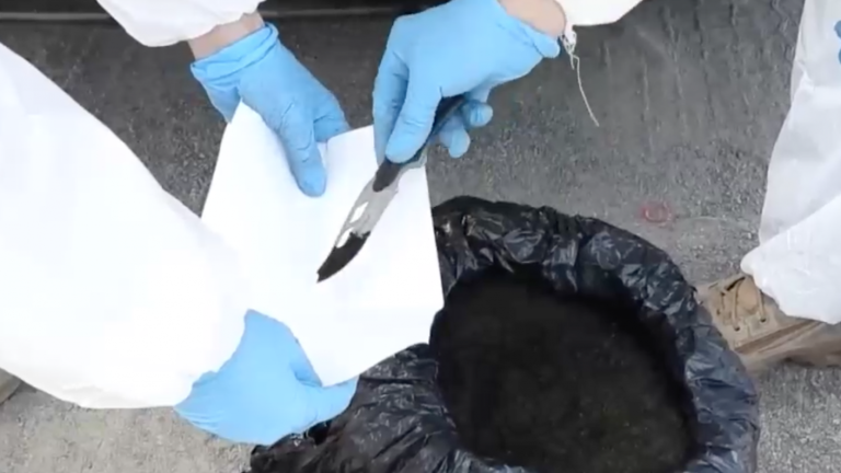 Decomisan una tonelada de permanganato de potasio: Chilenos exportaban químicos para elaborar cocaína