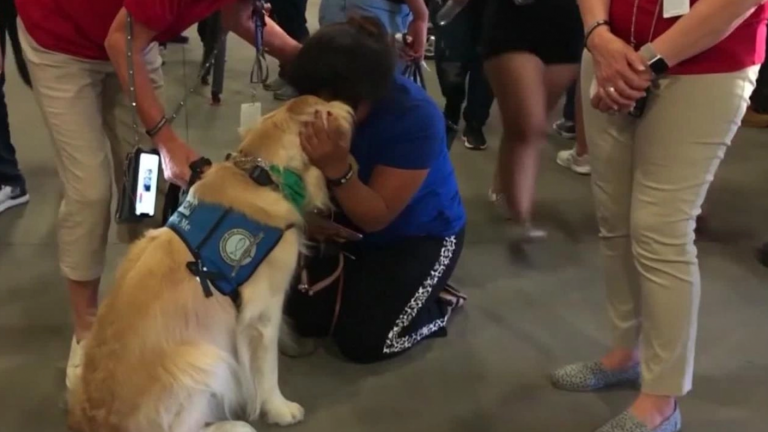 Personal sanitario celebra a Wynn, la perrita de terapia que apoyó a todo un centro médico durante la pandemia