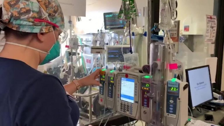 Menor de 10 años está con ventilación mecánica tras contagiarse con Hanta en Pitrufquén