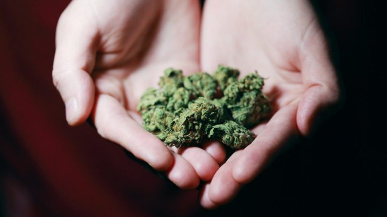 Tratamiento en disputa: Cannabis otorgaría un alivio efectivo a mujeres que sufren endometriosis