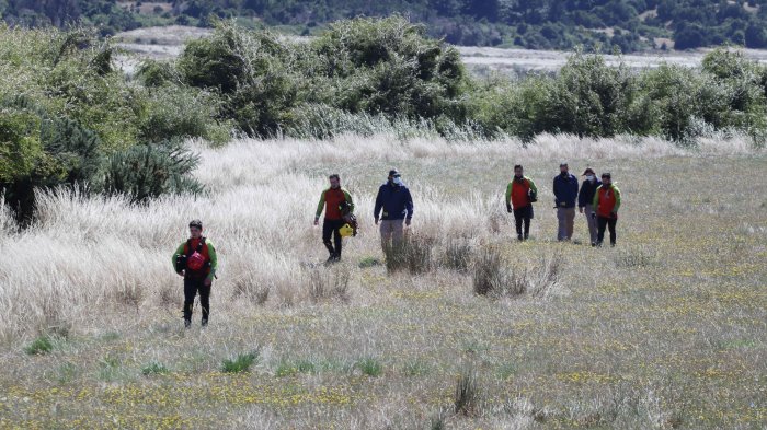 Contigo en Directo | Capítulo 161