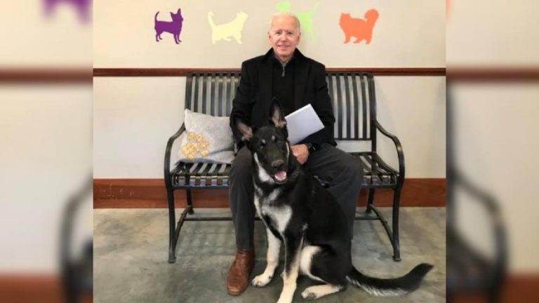 Expulsan a perro de Joe Biden de La Casa Blanca tras 