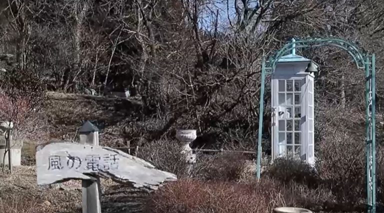 Instalan cabina telefónica para 