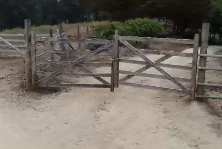 Nuevamente cierran acceso a playa en Pichilemu: Dueño de predio habilitó camino intransitable