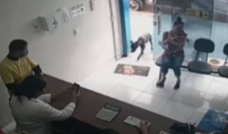 Enternecedora historia: Perro callejero entró a veterinaria y mostró su pata herida para que lo ayudaran