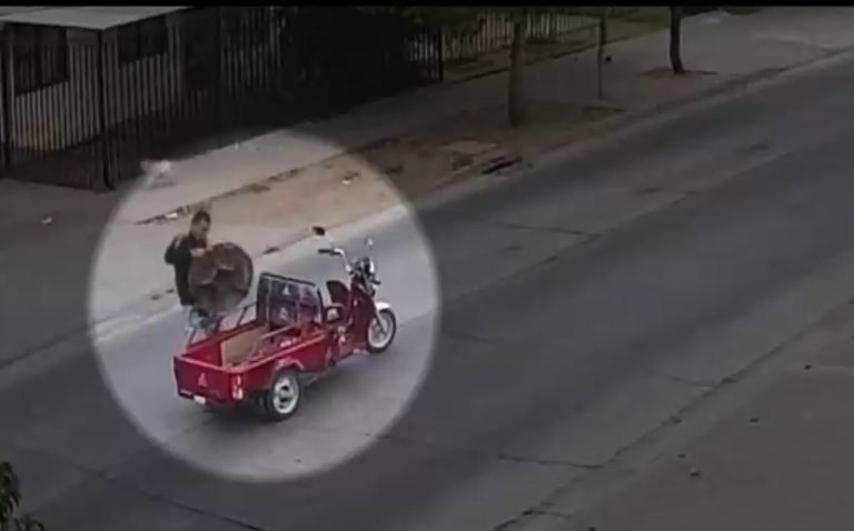 Hombre realizó descarado robo de tapa de alcantarilla a pleno día en Puente Alto