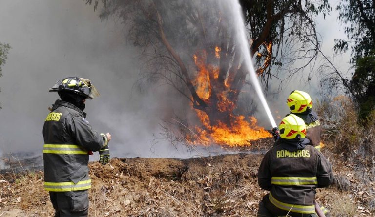 Alerta Roja en Valparaíso por incendio forestal: Siniestro amenaza a la Reserva Nacional Lago Peñuelas