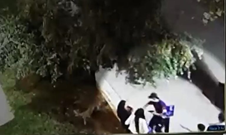 Tres adolescentes fueron detenidos tras 