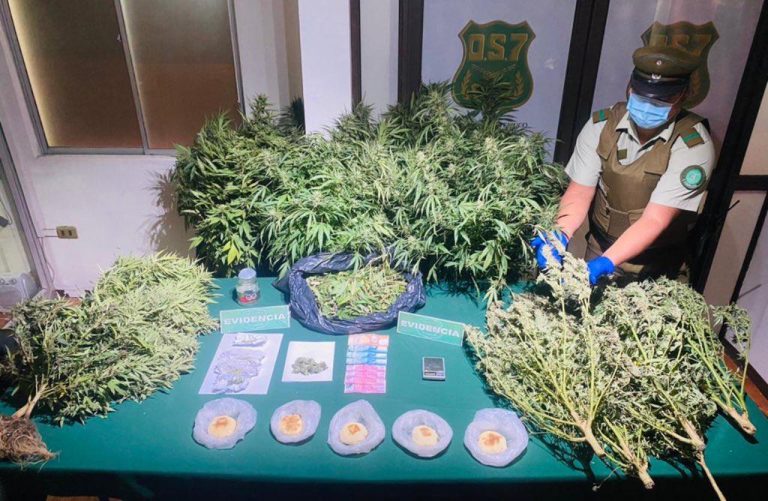 Temuco: Detuvieron a hombre que vendía marihuana en pan amasado