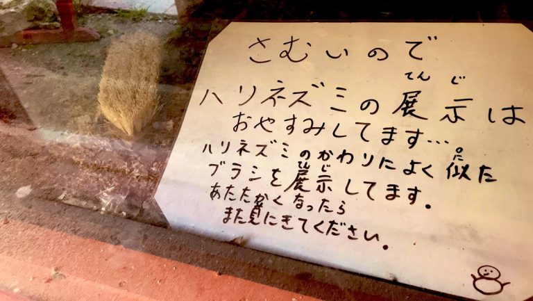 Zoológico japonés reemplazó a un erizo de tierra con un cepillo 