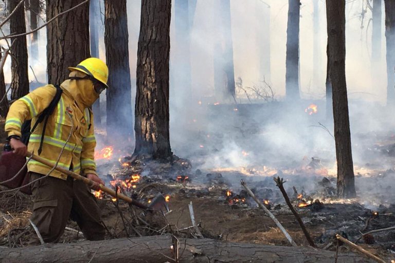 Alerta Roja por incendio forestal en Lago Peñuelas: Conaf asegura que fue intencional