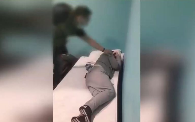 Detienen a 7 personas por armas y drogas: Quedaron en evidencia por planta de marihuana de dos metros