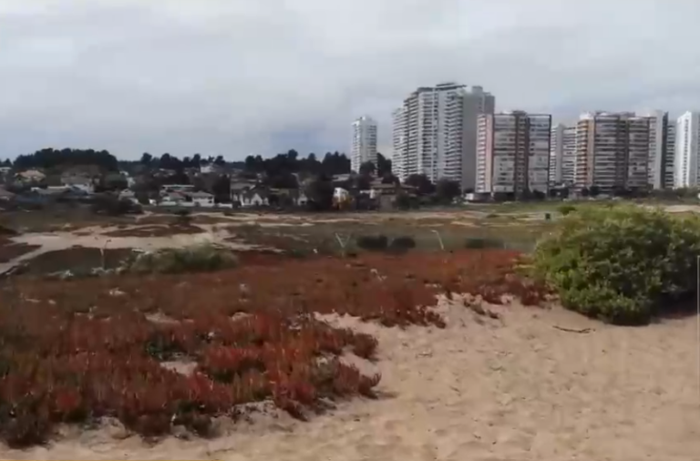 Pugna por las dunas en Concón: Director de Obras es cuestionado por proyectos inmobiliarios